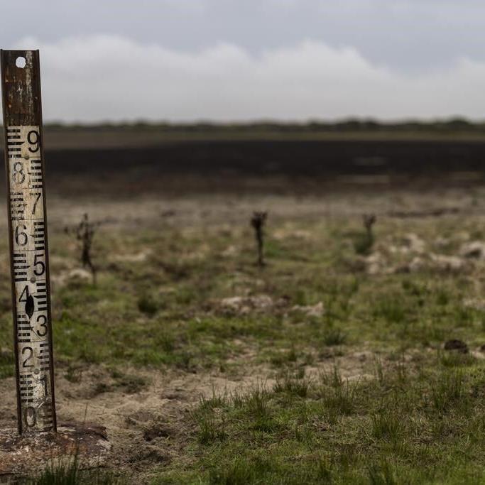 Spain's Andalusia region will expand the Doñana wetlands park. Critics applaud but want more action